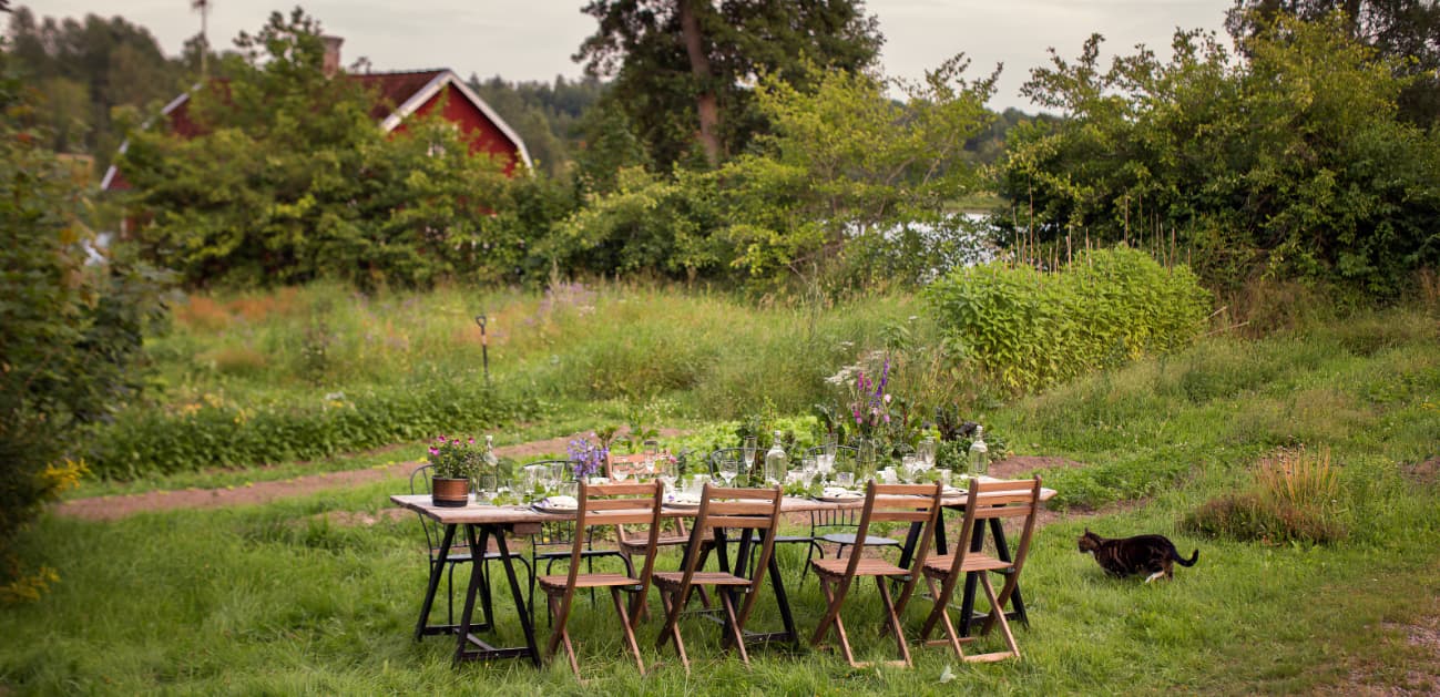 Sommaruppdatering – typ 1-diabetesprojekt får nytt stöd